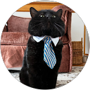 Liam W. profile picture